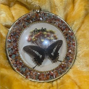 Vintage Aruba Framed Butterfly Souvenir